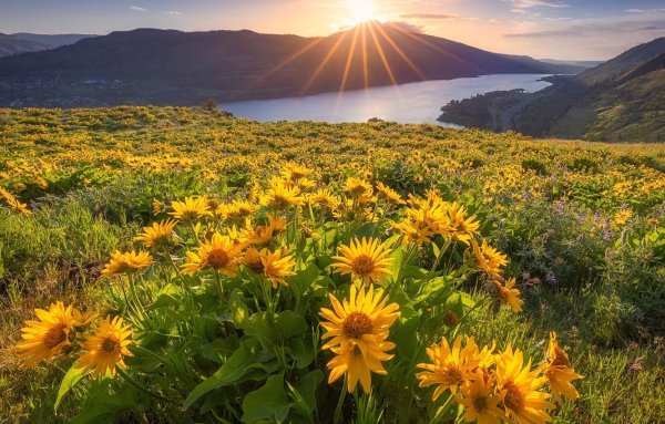 Рассвет картинки