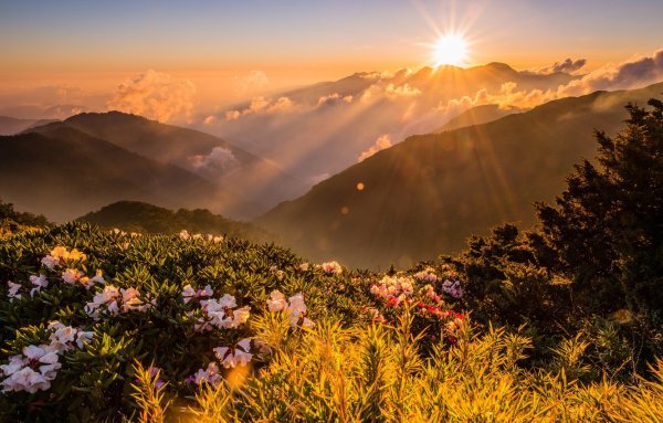 Рассвет в поле