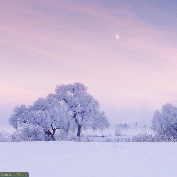 Зимний пейзаж