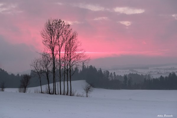 Зимний розовый рассвет