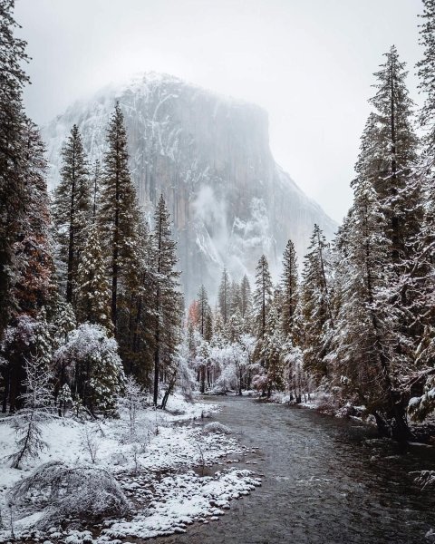 Эстетика природы зима