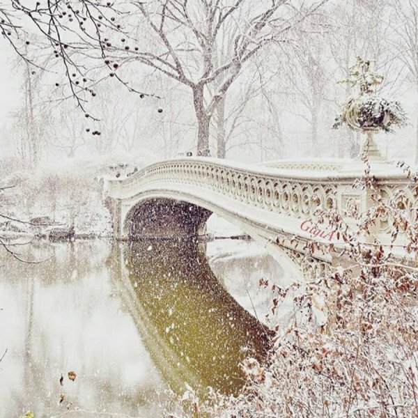 Зимний пейзаж с мостиком