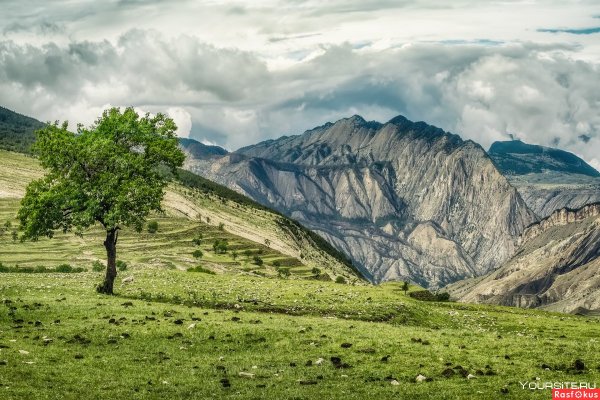 Красота родного края Дагестан