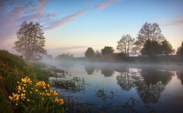 Утро природа