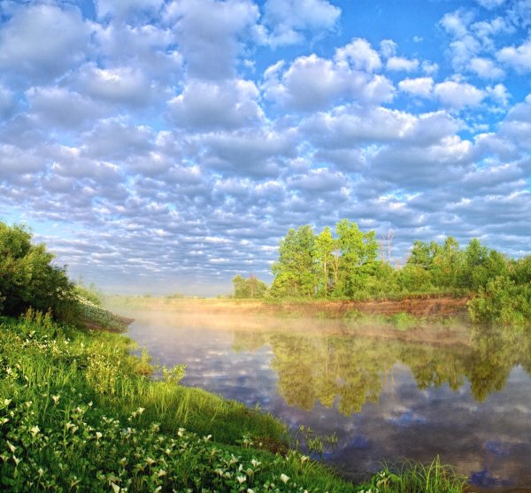 Летний пейзаж