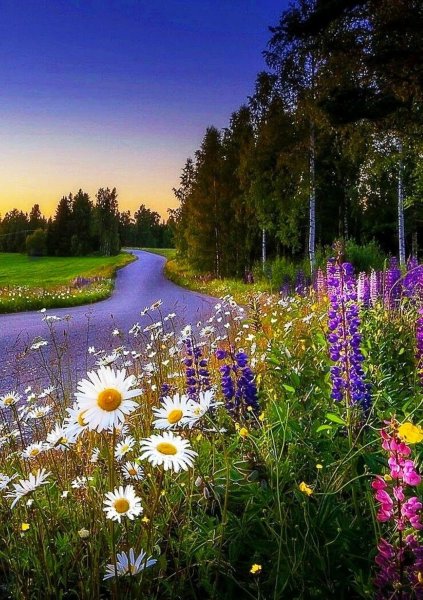 Природа солнце