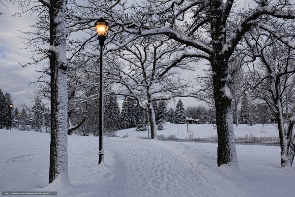 Зимняя аллея с фонарями