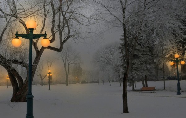 Зимний парк