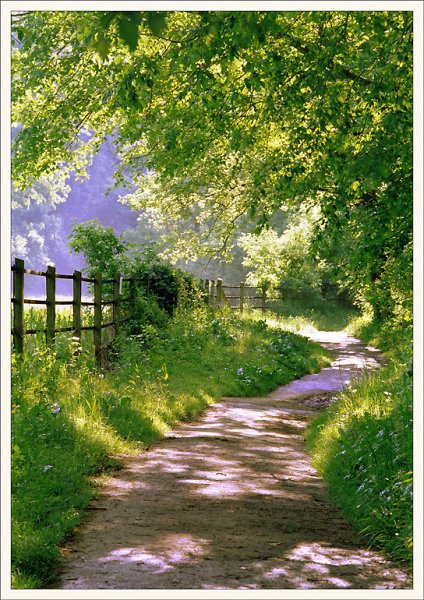 С добрым солнечнымутпом