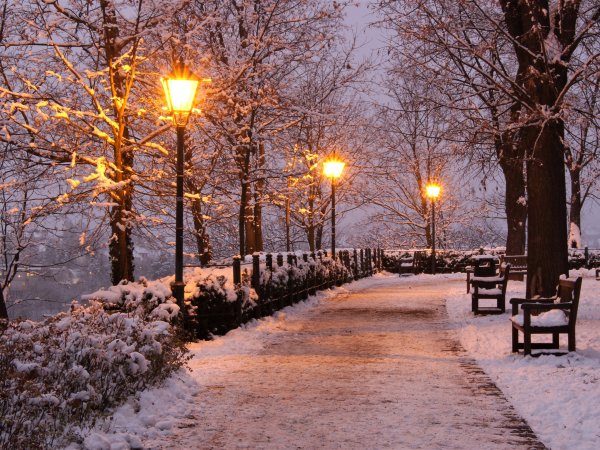 Зимняя аллея в парке