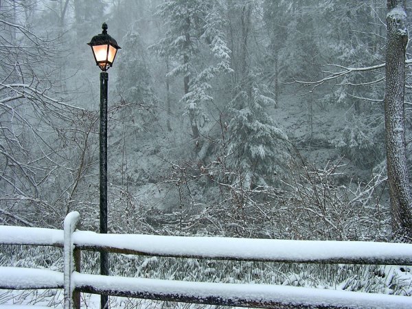 Хроники Нарнии фонарь