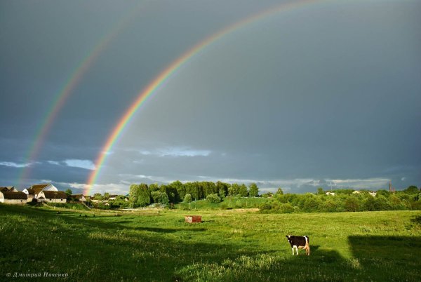 Радуга в Беларуси