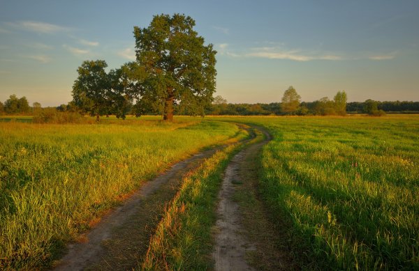 Красивая природа Белоруссии