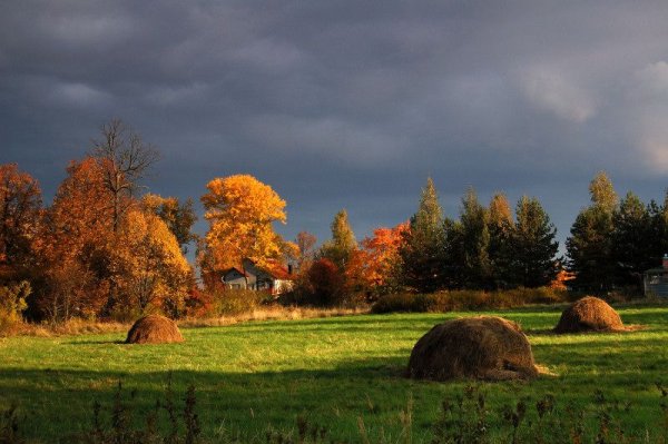 Осень в деревне
