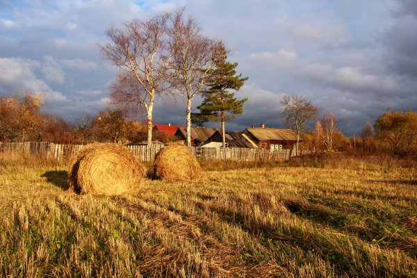 Осенний пейзаж Околица села