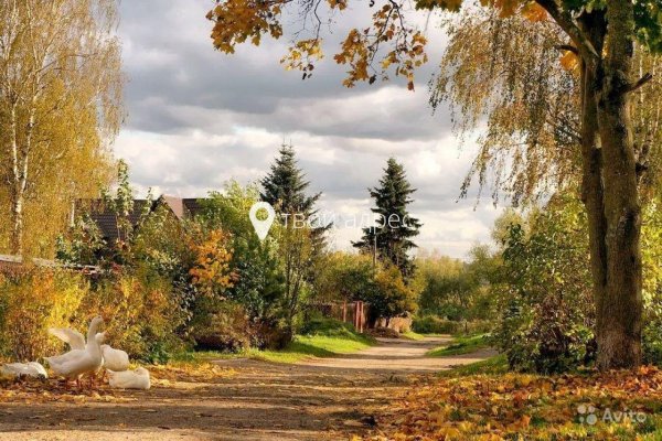 Поселок Павловский осень