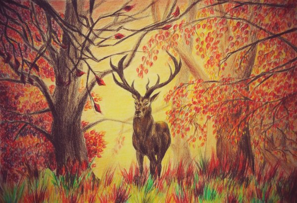 Африка рисунок