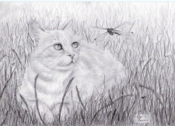 Пейзажи с оленями живопись