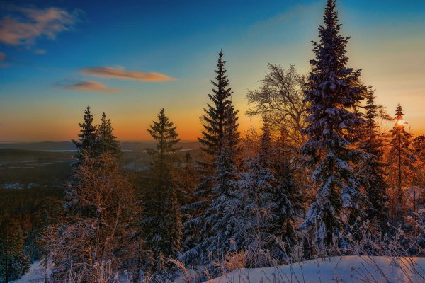 Декабрь пейзаж