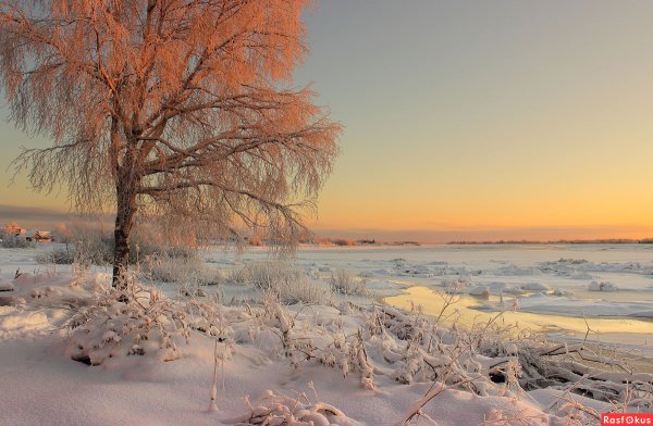Пейзаж начало декабря