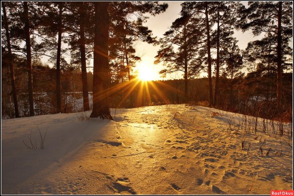 Декабрьское солнце