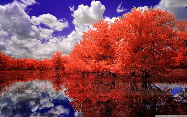 Красная природа