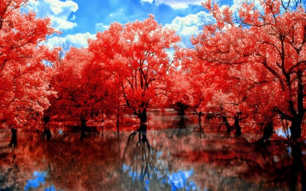 Красная осень