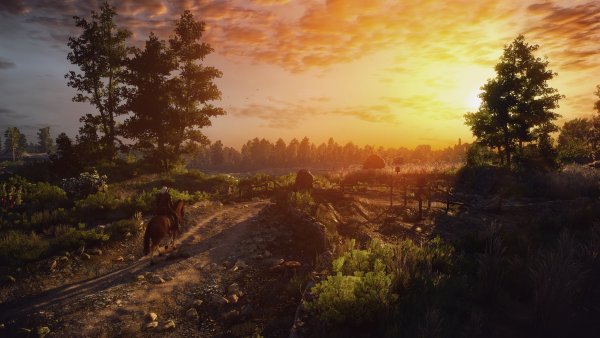 Ведьмак 3 природа арт