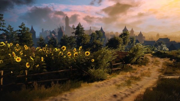 Туссент Ведьмак Подсолнухи