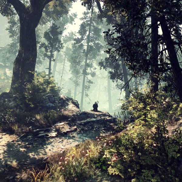 Ведьмак природа