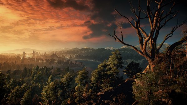 Велен Ведьмак пейзаж