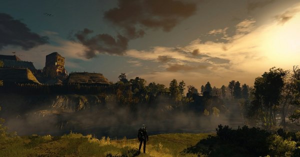 Лес Марибора Ведьмак