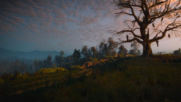 Велен арт Ведьмак