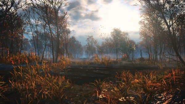 Велен Ведьмак 3 болота