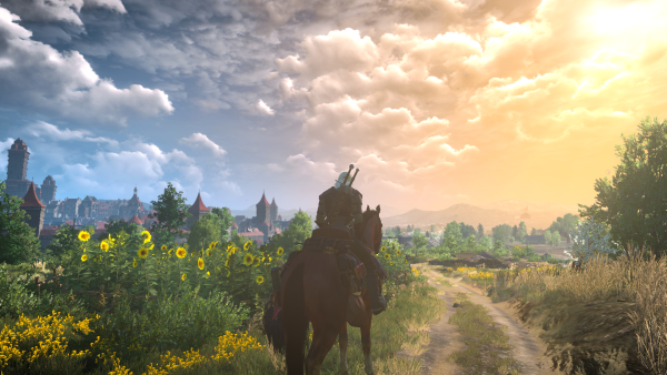 Белый сад Ведьмак 3 пейзаж