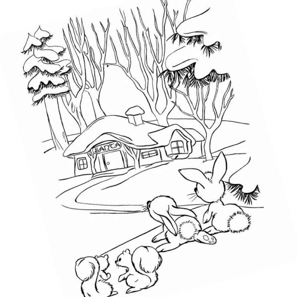 Зимний лес раскраска