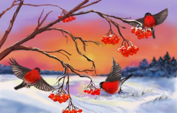 Новогодние сюжеты