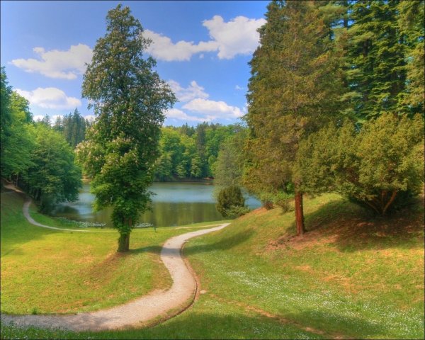 Летний пейзаж