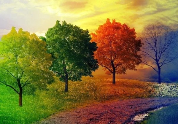 Пейзаж в четырёх времени года