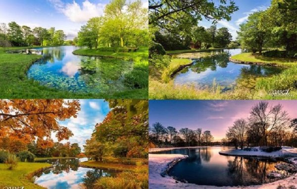 Пейзаж в Разное время года