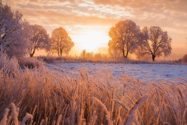 Сезонные пейзажи