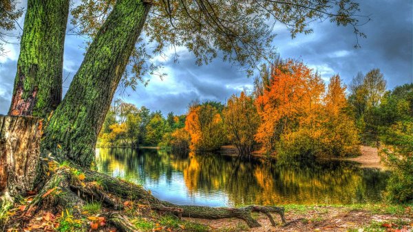 Осень в лесу