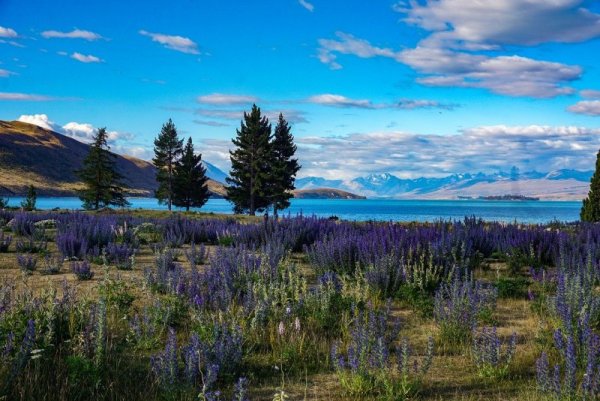 Панорамные снимки природы