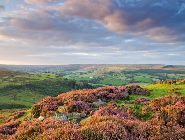 Панорама природа