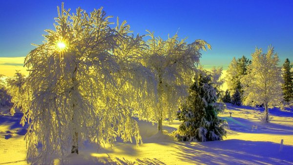 Зимняя природа