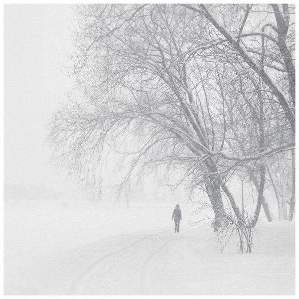 Снег одиночество