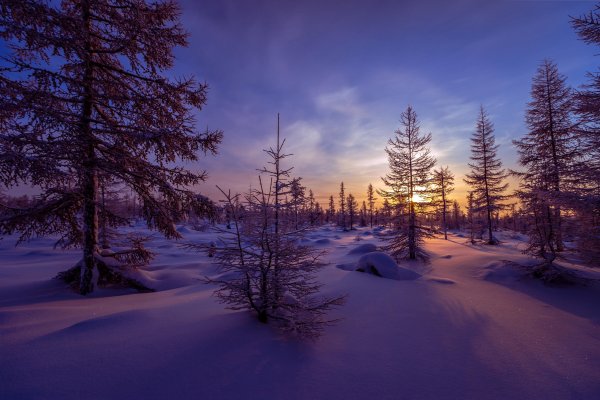 Зимний закат