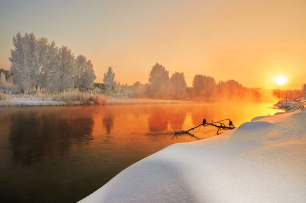 Яркий зимний пейзаж