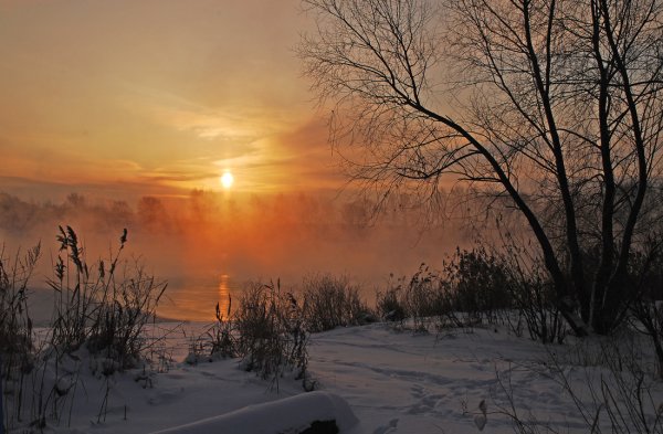 Зимний покой