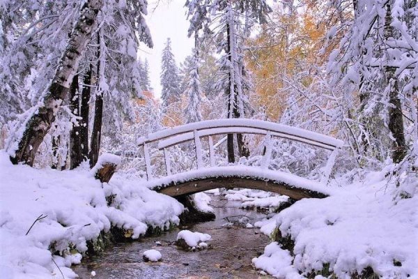Художник Екатерина Калиновская пейзаж